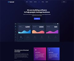 Saasland Software (Dark) Demo